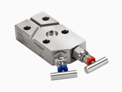 Emerson Rosemount 305 Integral 2-Valve Manifold for 3051C Coplanar Gage Pressure Transmitter